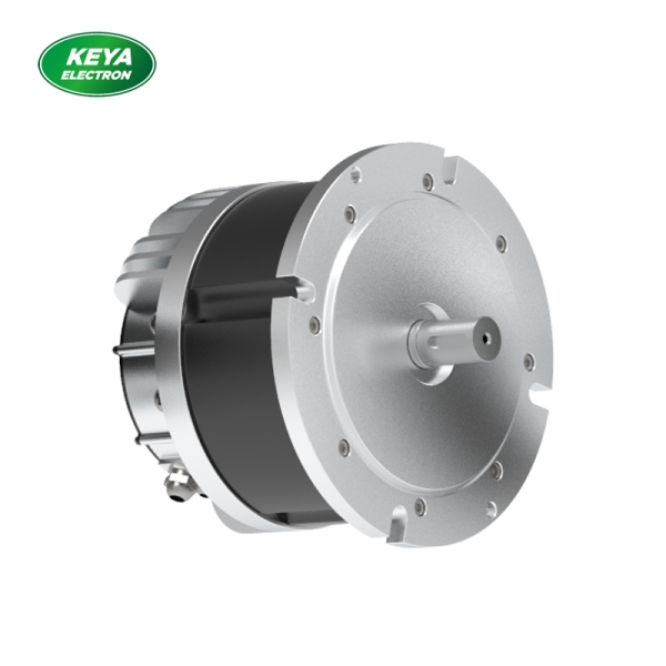 万象城体育·|（官方）在线官网215系列48V 4000W 1500RPM
